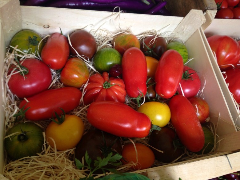 9C010D3D-8355-4D6E-86CD-7A2D4264DAE3