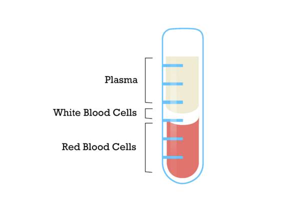 Screen Shot 2015-12-14 at 11.38.58 AM.png