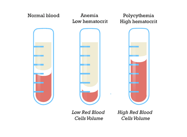 Screen Shot 2015-12-14 at 11.39.08 AM.png