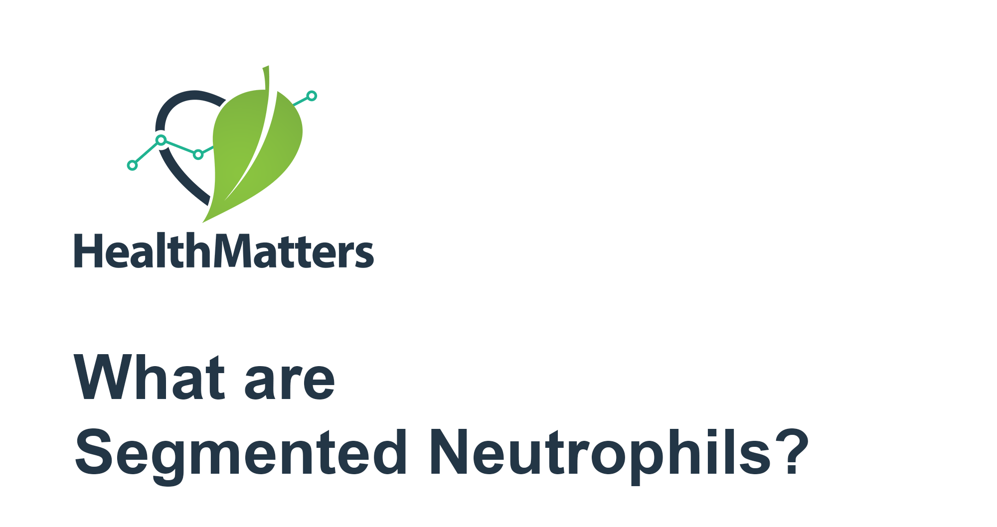 Segmented Neutrophils