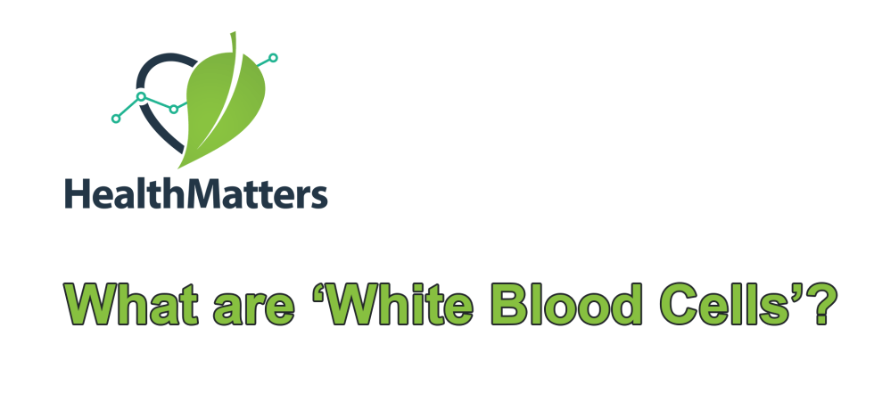 What are white blood cells?