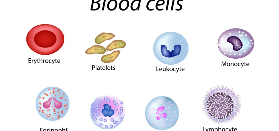 platelets indices PI healthmatters.io