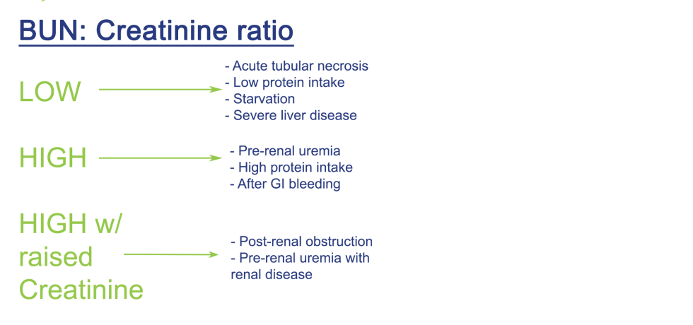BUN Creatinine Ration Interpretation high low normal