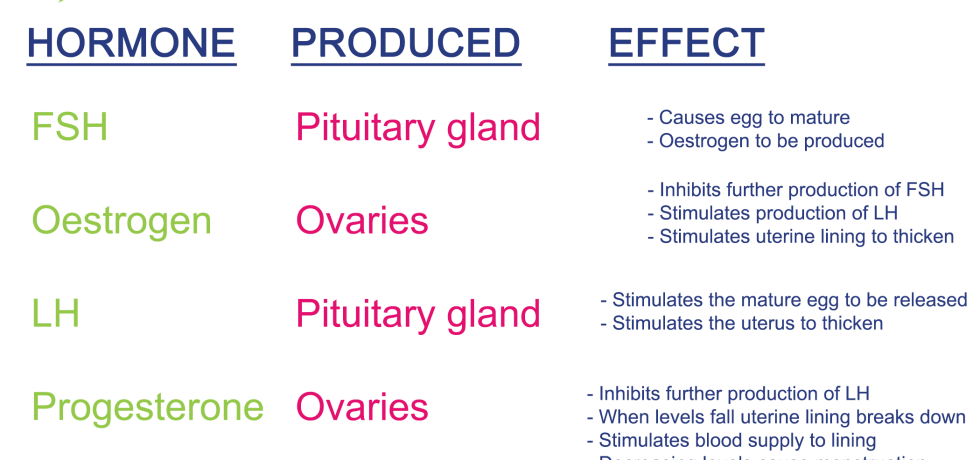 Pregnanediol low high reference range fsh oestrogen lh progesterone