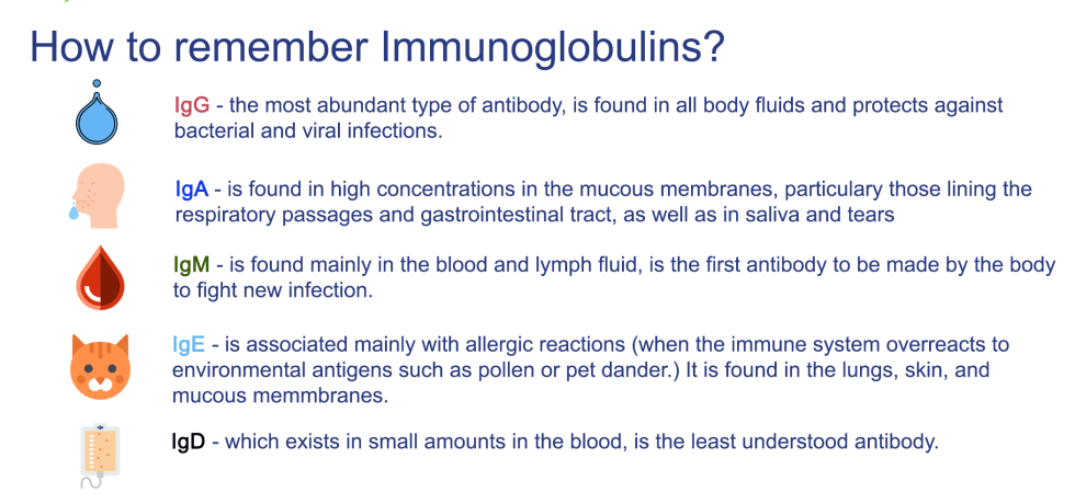 immunoglobulins antibody antibodies reference ranges low high value