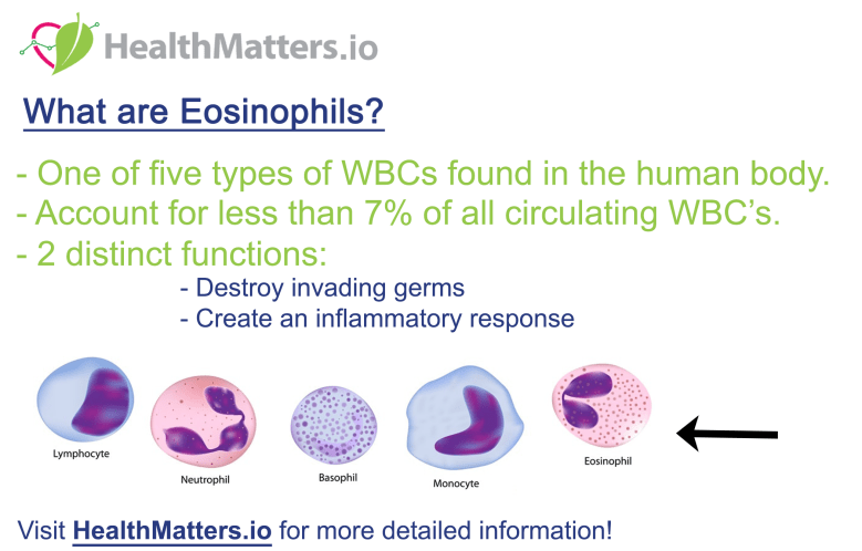 eosinophils low blood test high means function definition