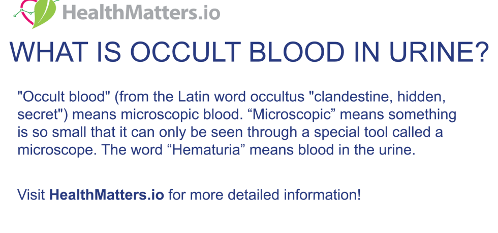 occult blood urine meaning definition positive