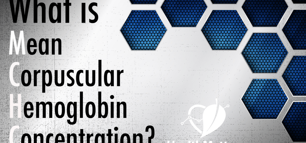 Mean Corpuscular Hemoglobin Concentration MCHC low high reference