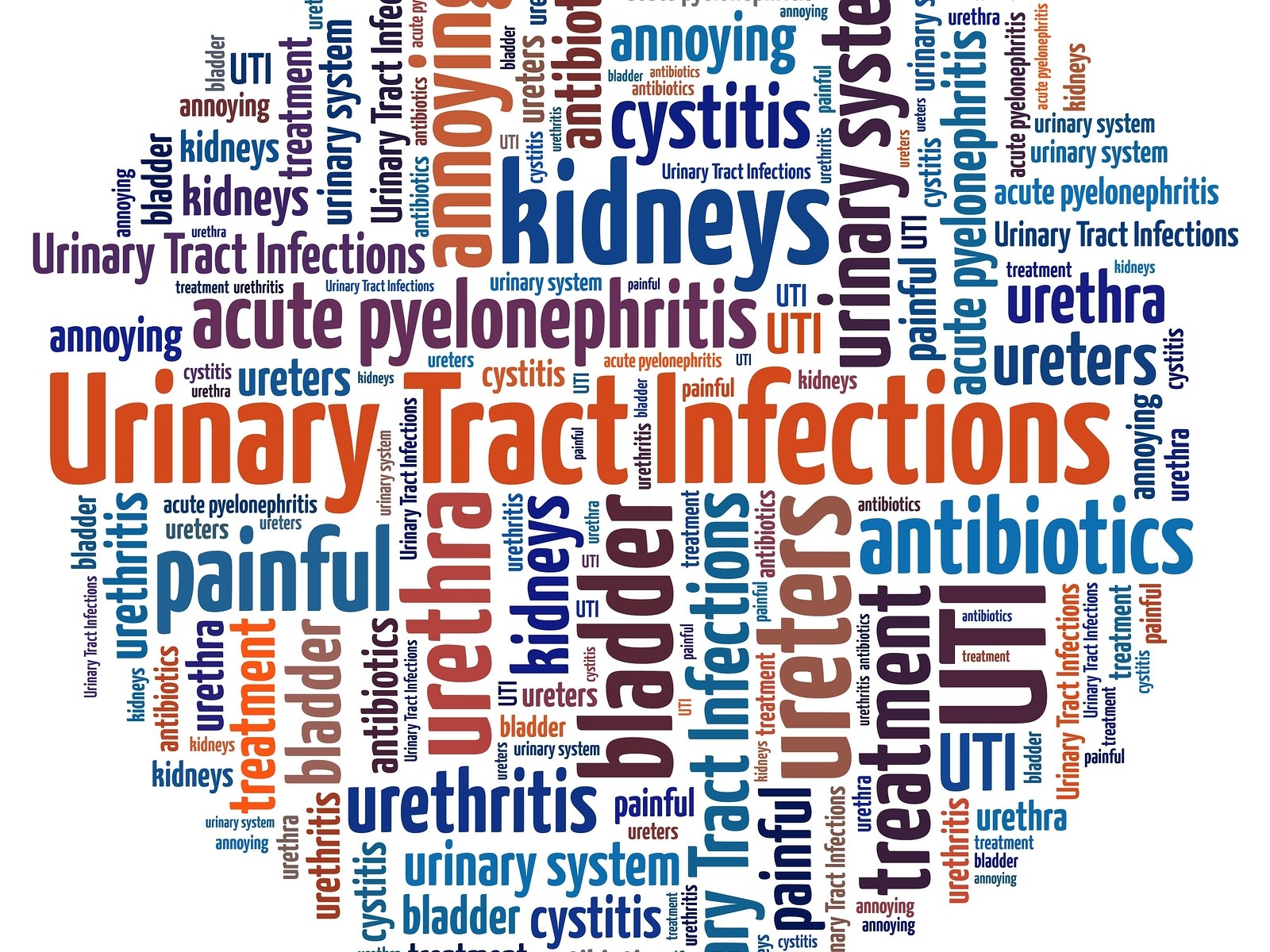 Leukocyte Esterase meaning white blood cells urine