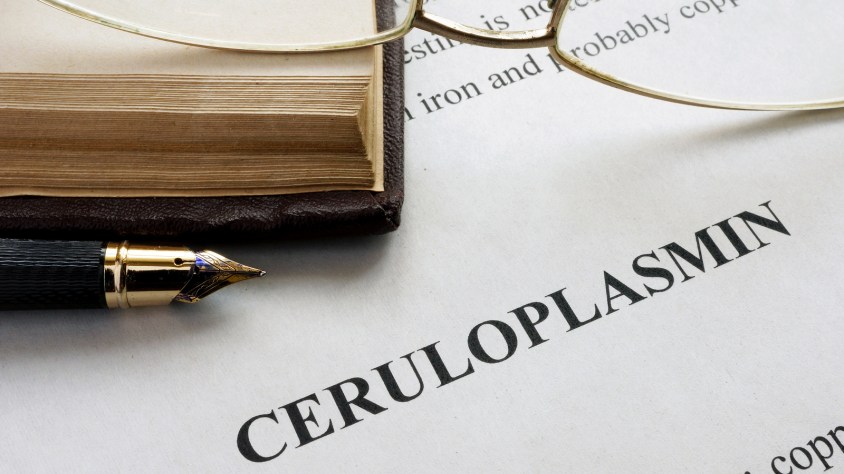 Ceruloplasmin.jpg