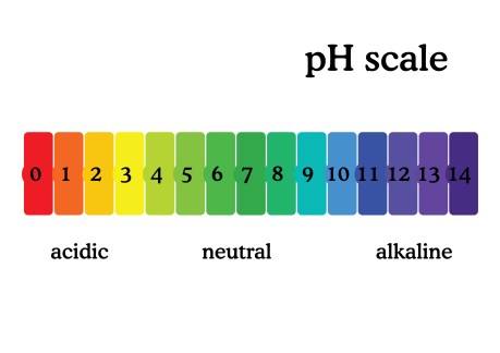 Urine PH scale reference range normal healthmatters.io