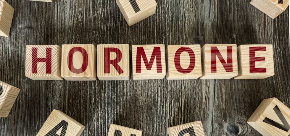 4-Hydroxyestrone high low meaning lifestyle recommendations