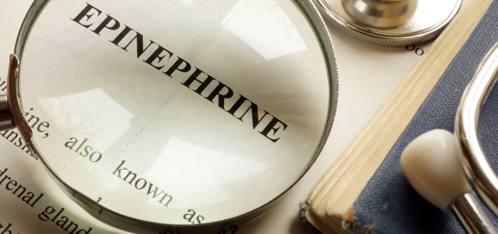 adrenaline healthmatters epinephrine high low meaning