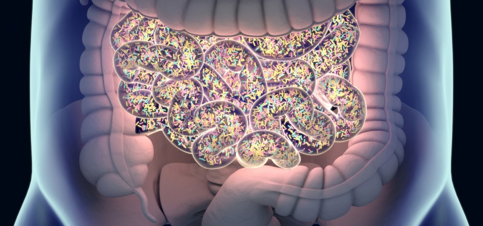 Propionate (Stool) short-chain fatty acid fibers metabolic syndrome high low meaning