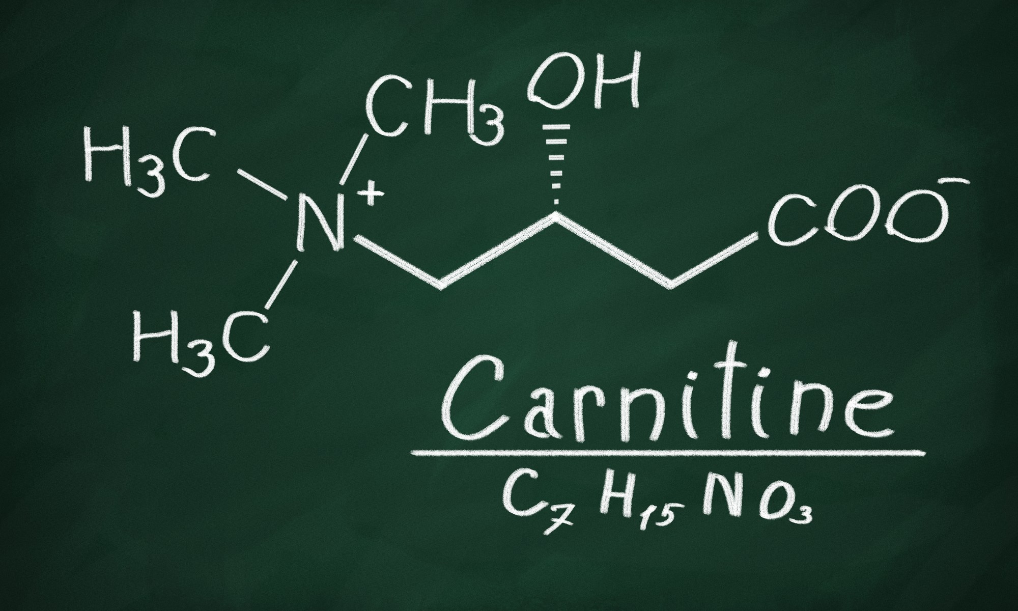 Adipate meaning high low reference ranges Carnitine