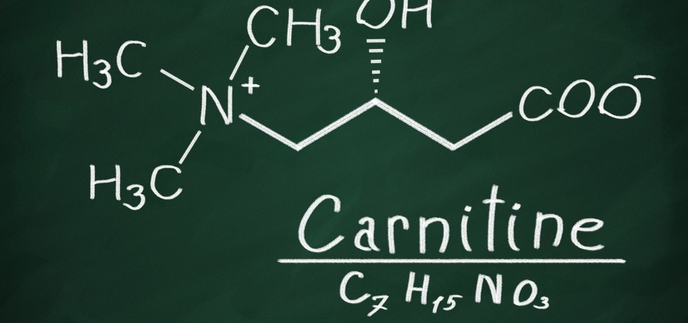 Adipate meaning high low reference ranges Carnitine