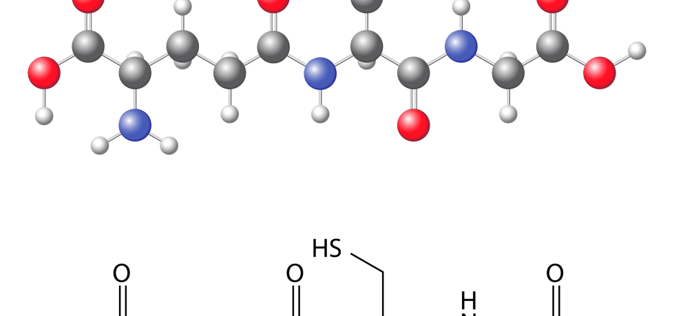 Alpha-Hydroxybutyrate Glutahione high low test results meaning interpretation