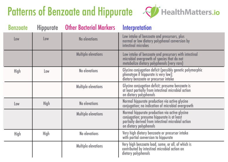 Benzoate Hippurate Interpretation high low meaning reference ranges