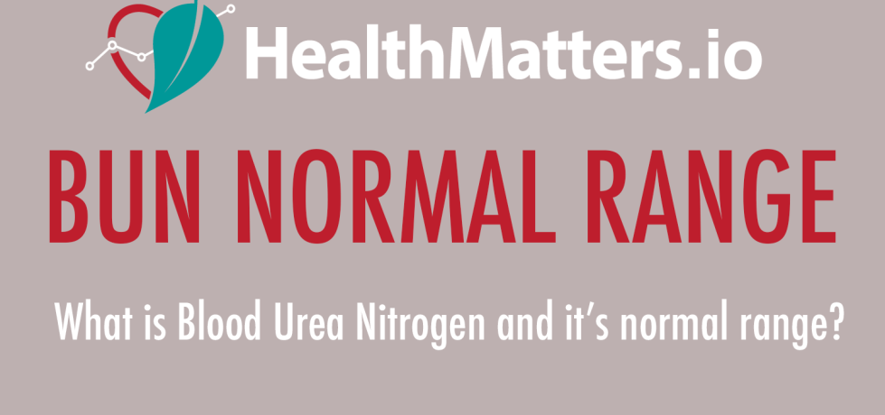 bun normal range