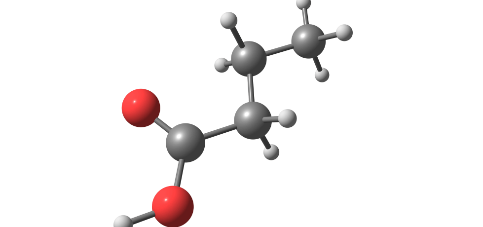 what is n-butyrate? reference ranges normal low high meaning