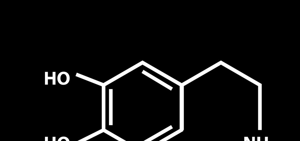 dopamine high low reference ranges meaning