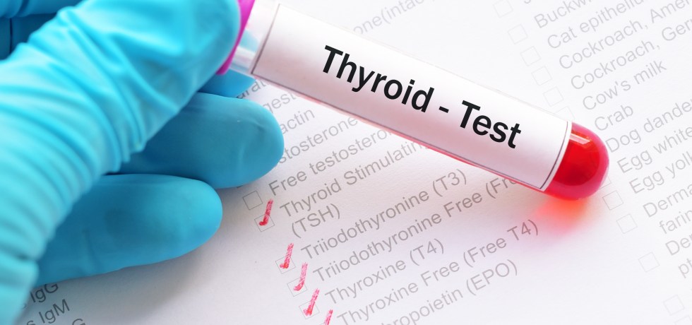 free thyroxine index high low meaning