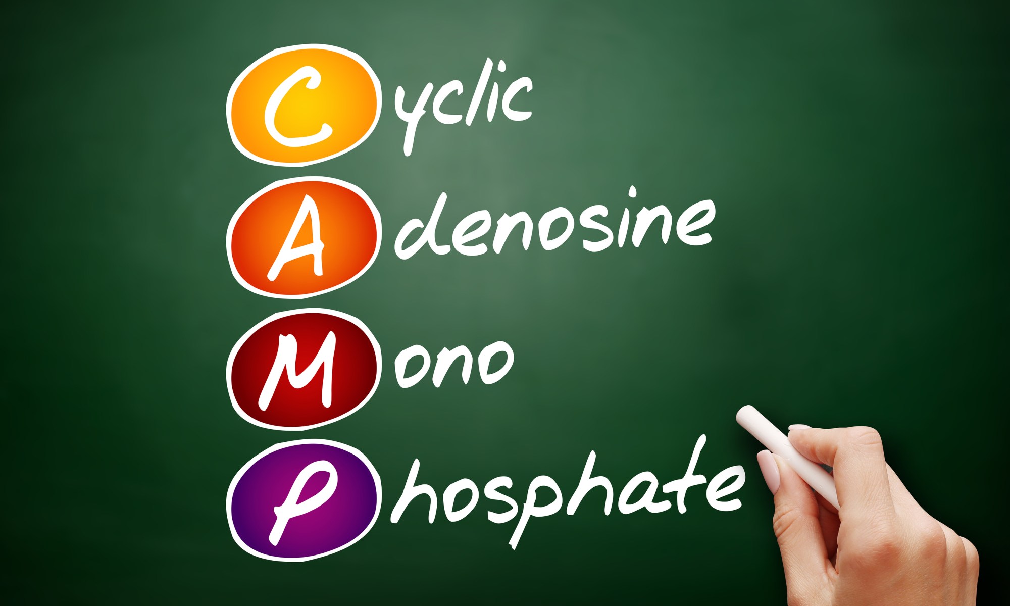 Cyclic AMP, Plasma meaning high low interpretation results report