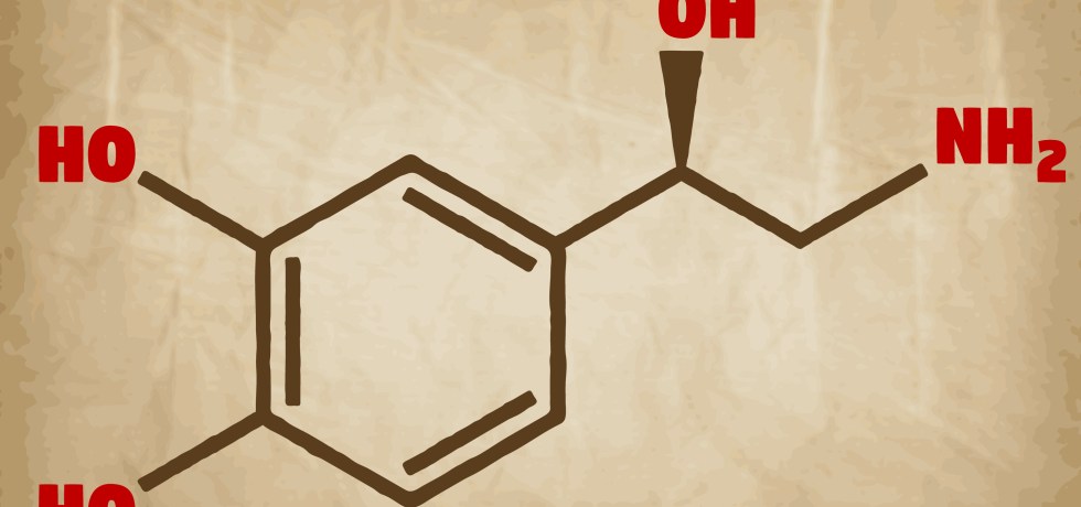 Norepinephrine High low meaning