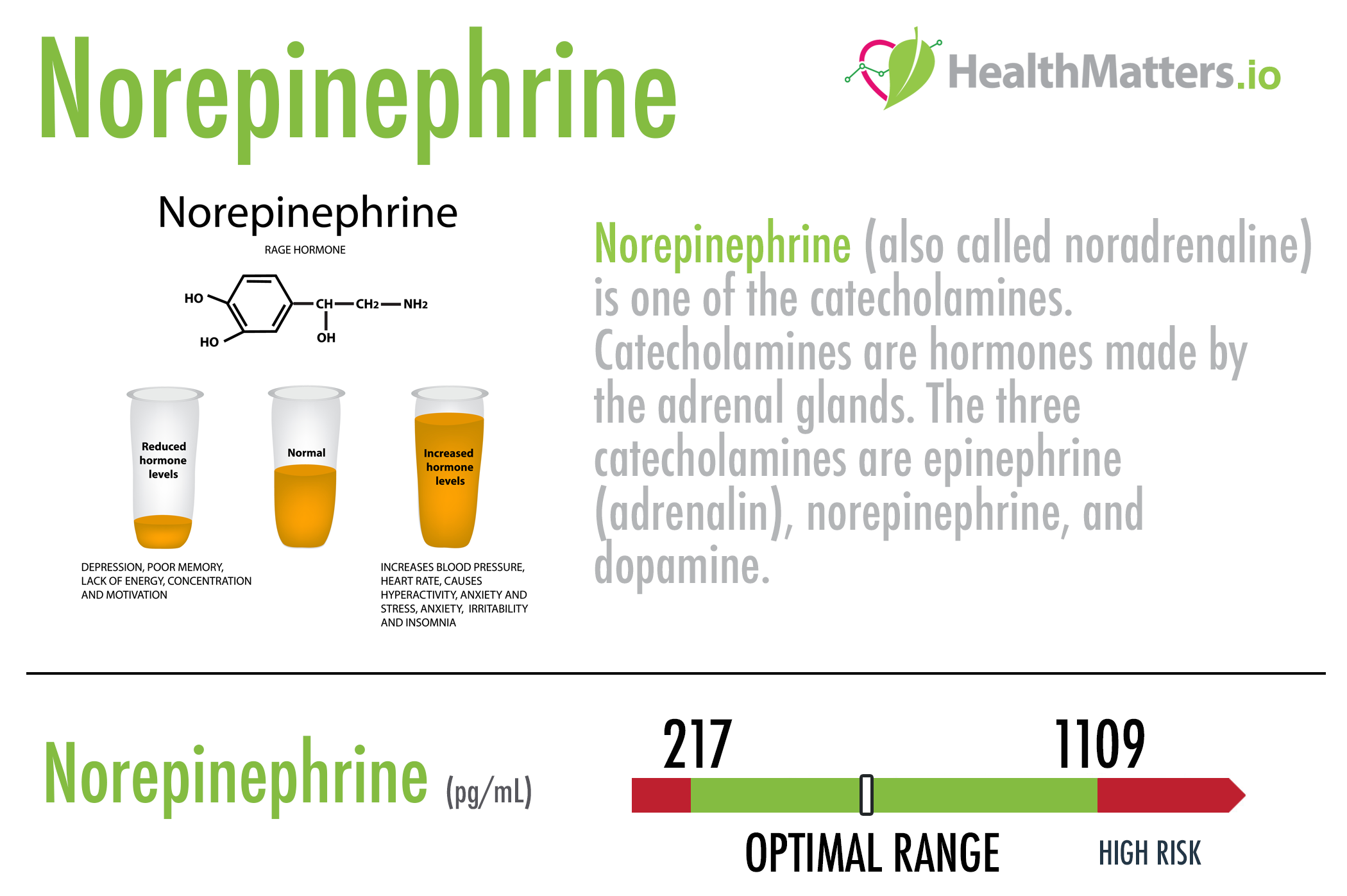 What is Norepinephrine?