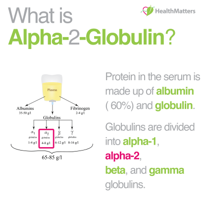 alpha-2 globulin high low meaning interpretation lifestyle recommendations liver blood work results