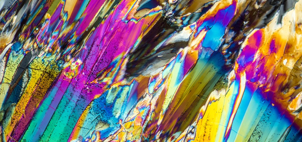 citrate genova test results meaning high low