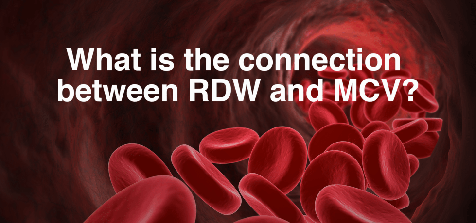 rdw red cell distribution width mcv mean corpsular volume high low meaning results