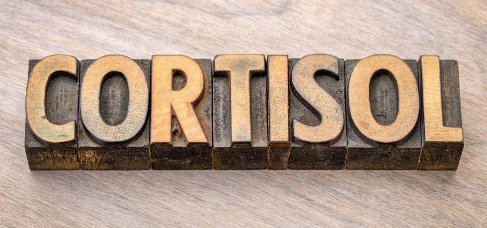 cortisol binding globulin high low meaning