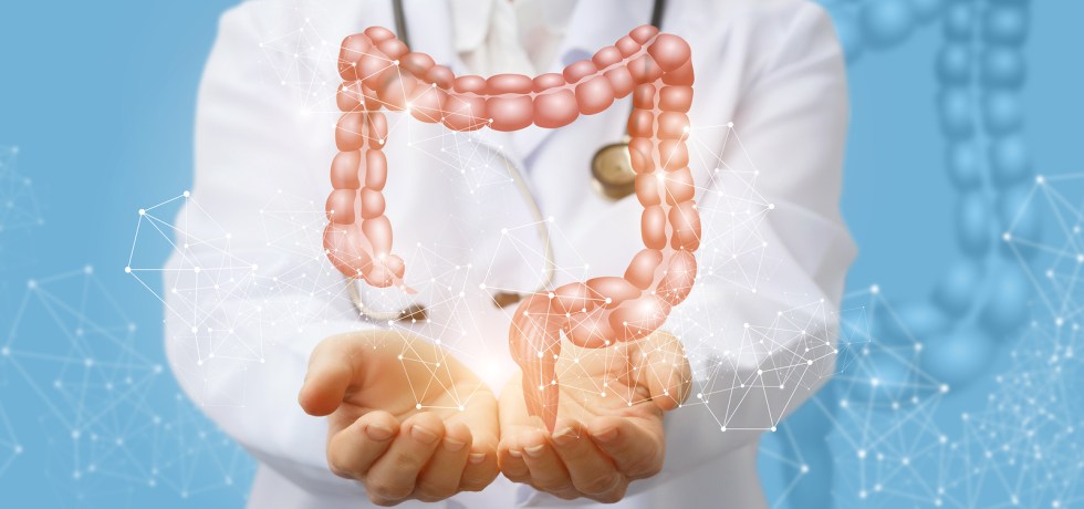 What is D-Lactate treatment results high low meaning