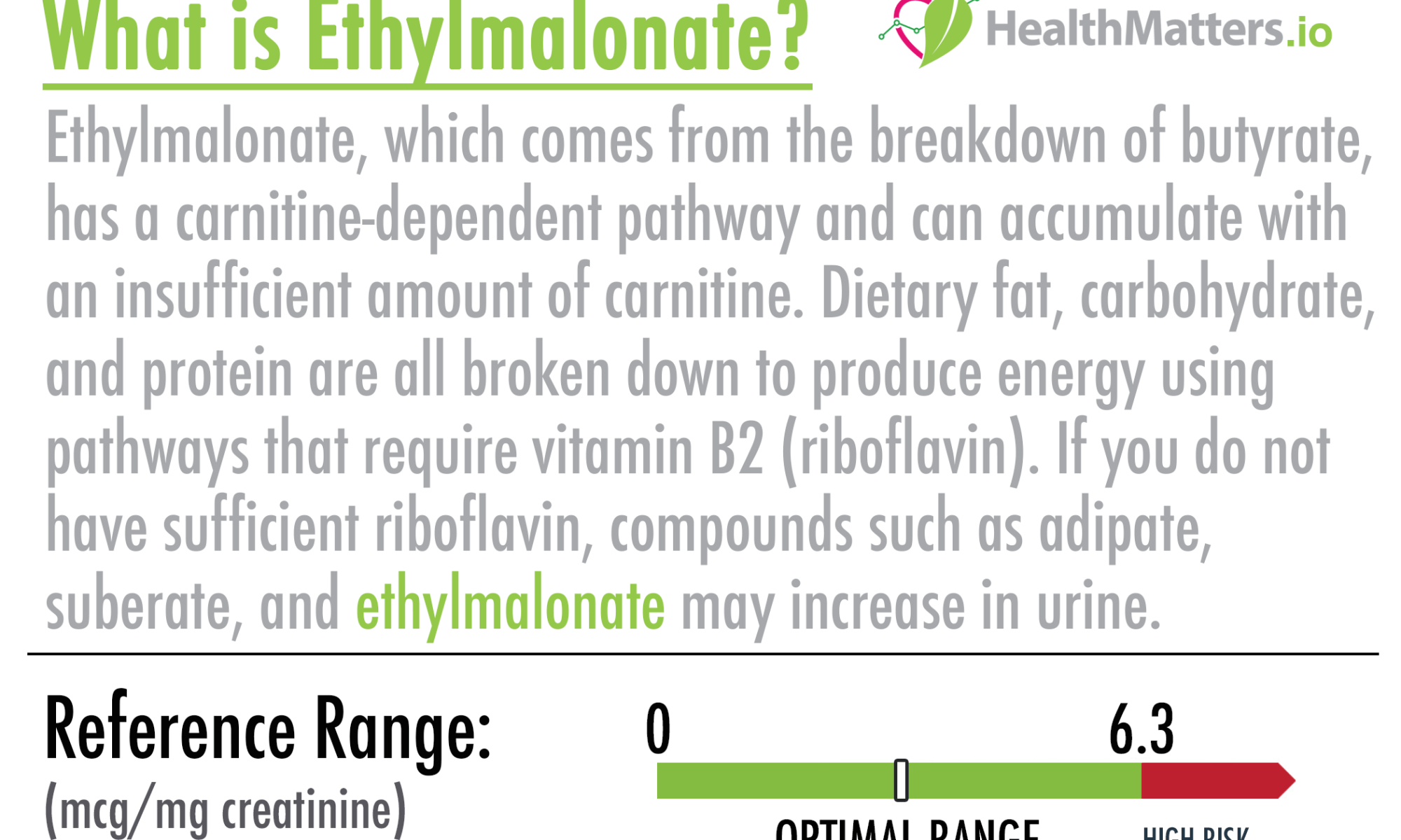 ehtylmalonate high low meaning treatment test results
