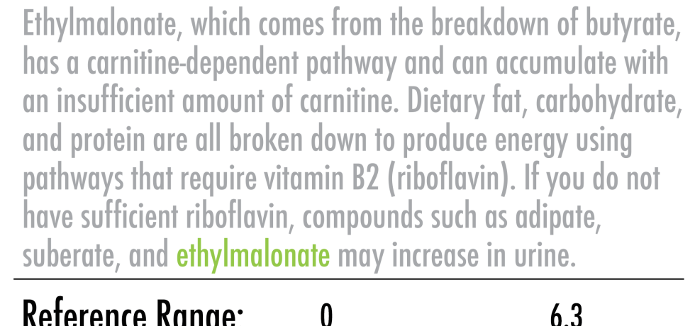 ehtylmalonate high low meaning treatment test results