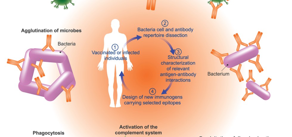 Free Kappa Light Chains high low meaning treatment test results