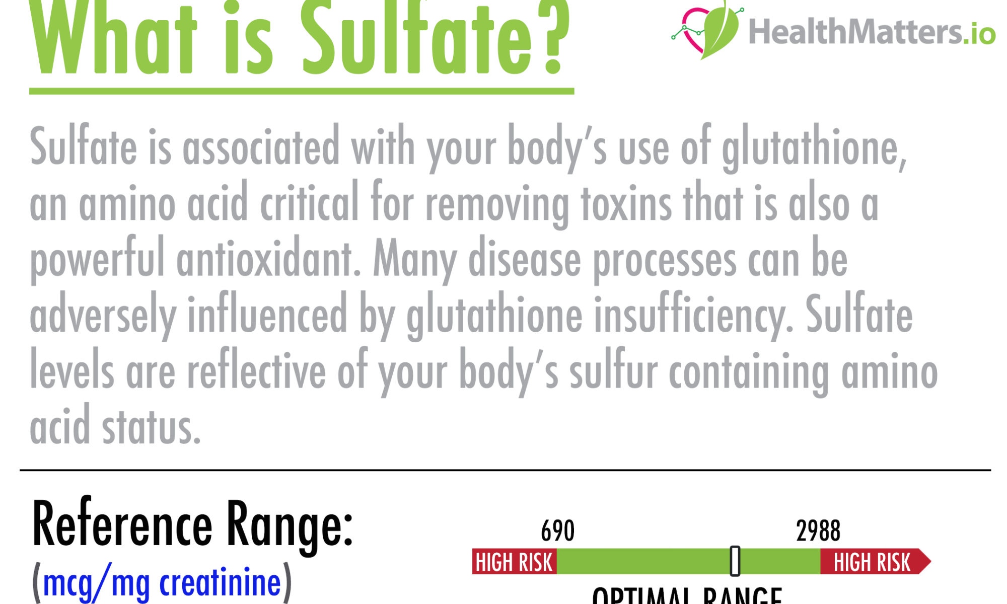 sulfate high low meaning genova organix test results