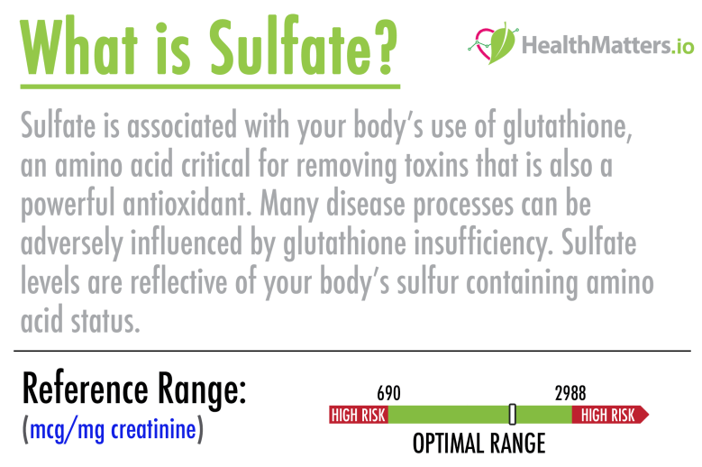 sulfate high low meaning genova organix test results