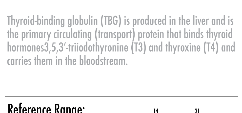 Thyroxine-binding globulin high low meaning T4 T3 TBG