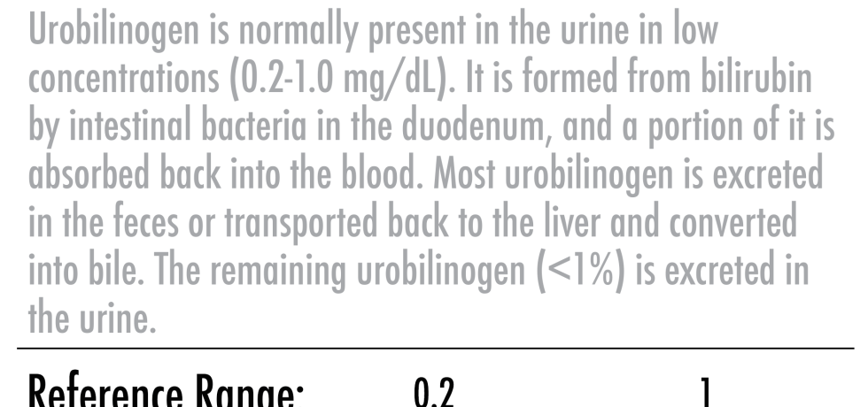 urobilinogen meaning high low bilirubin