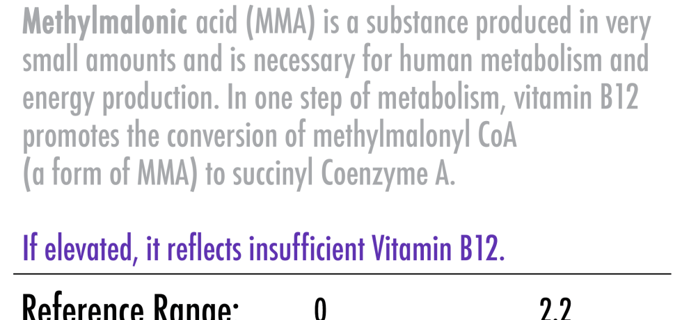 methylmalonate dutch test results high low meaning b12 vitamin