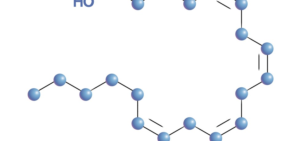 Arachidonic acid healthmatters.io meaning high low treatment animal products vegan diet