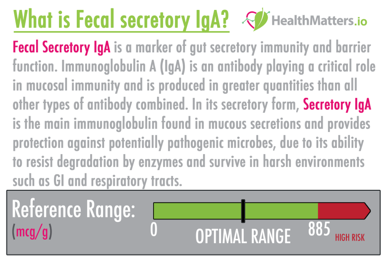 fecal secretory IgA high low meaning reference ranges optimal genova diagnostics healthmatters.io track interpret interpretation