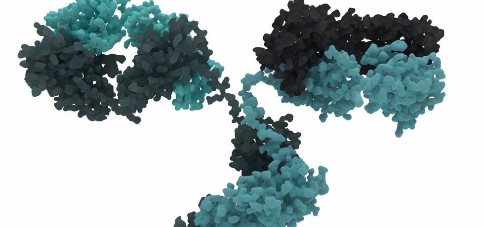 Fecal secretory IgA high low meaning reference ranges test results genova diagnostics healthmatters.io track lab results