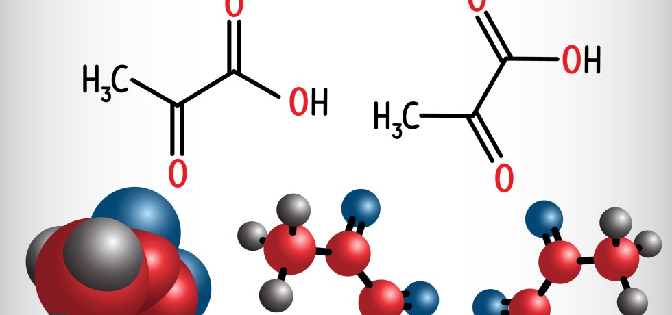 Pyruvate pyruvic acid organic acids plasma test results high low treatment meaning