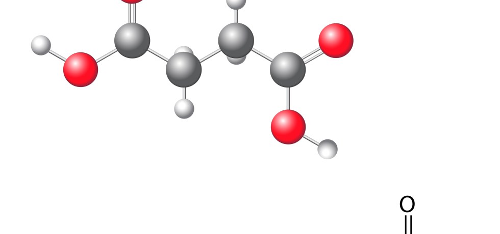 Succinic Acid Molecule succinate high low urine test urinalysis treatment