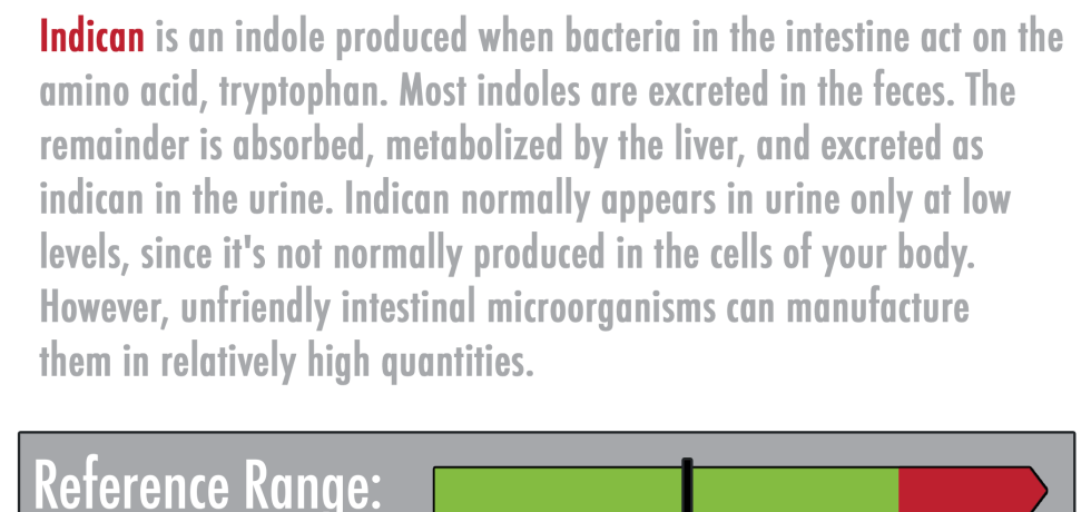 indican genova tests meaning high low