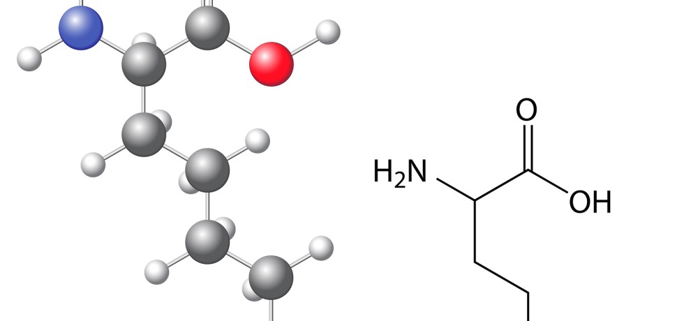 lysine genova high low meaning treatment reason