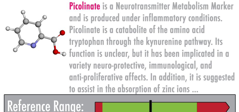 picolinate piclinic acid high low meaning treatment neurotransmitter genova diagnostics